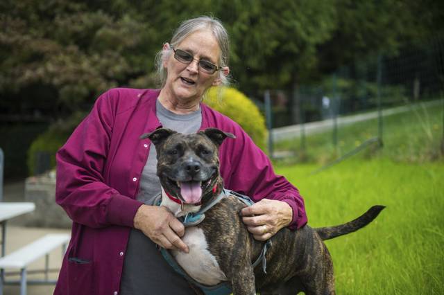 1736269_web1_gtr-hurricanedogs004-090719