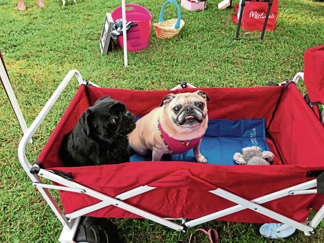 1737767_web1_Lola-and-Helen