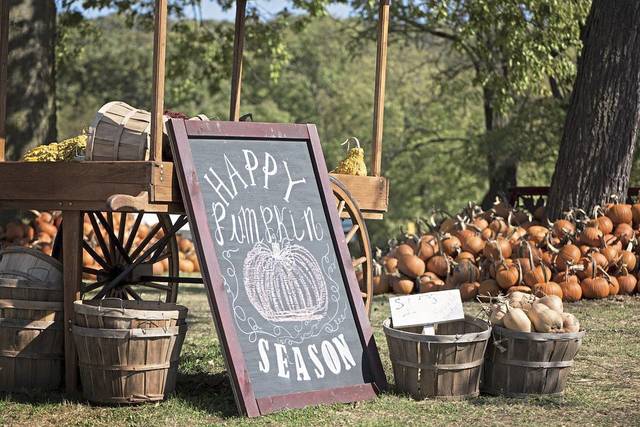 1727051_web1_gtr-liv-beyondpumpkin-pumpkins-100619