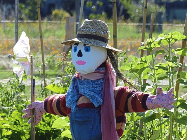 1727051_web1_gtr-liv-beyondpumpkin-scarecrow-100619