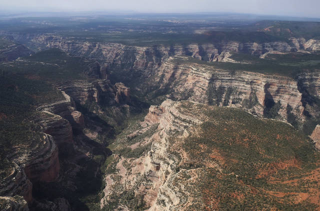 1747927_web1_1747927-055a0df56f07404587fbe2ec2c1f5f6c