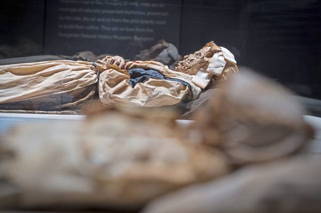 1748861_web1_PTR-MUMMIES-VERONICA