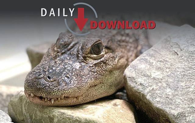 1758782_web1_ptr-DailyDownload-100419