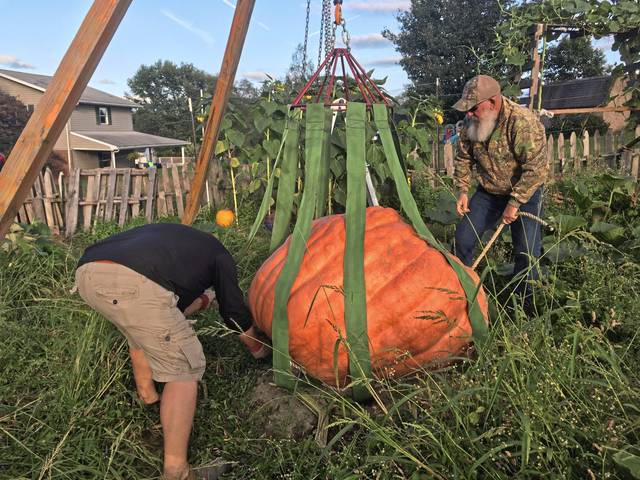 1764785_web1_vnd-greatpumpkin2-100619