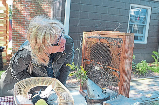 Hydref Festival in Hampton highlighted by perfect fall weather