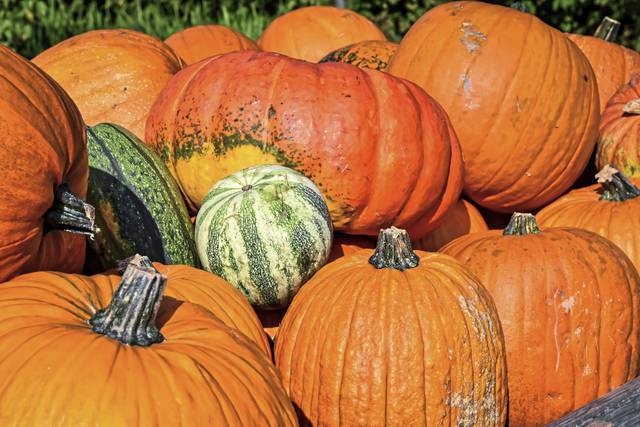 1775778_web1_gtr-tk-planner-pumpkin-101719