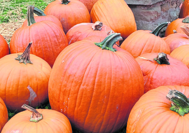 Carving, train rides new to Halloween event in Hampton