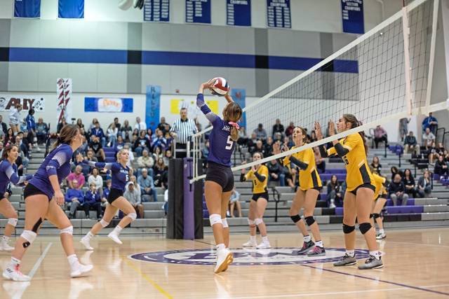 Baldwin volleyball looking forward to Dig Pink fundraiser, postseason run