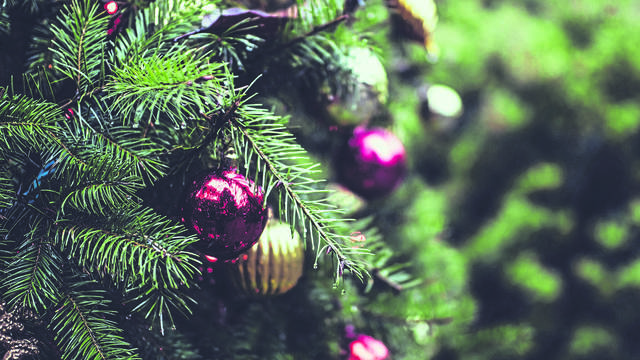 1790835_web1_ChristmasTree-Green
