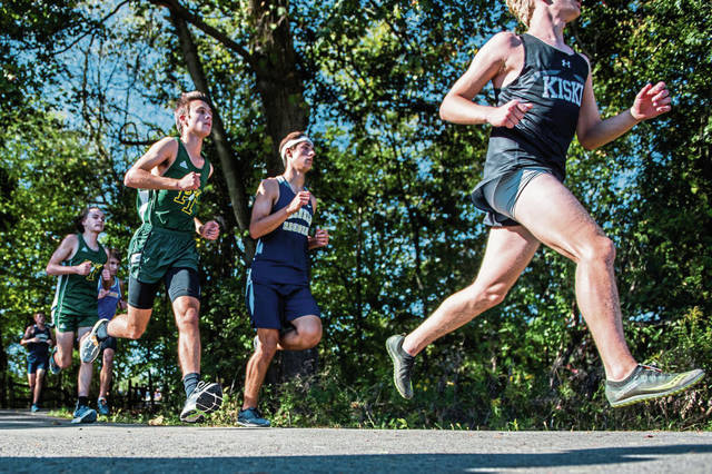 Penn-Trafford runners gain experience at annual WCCA meet