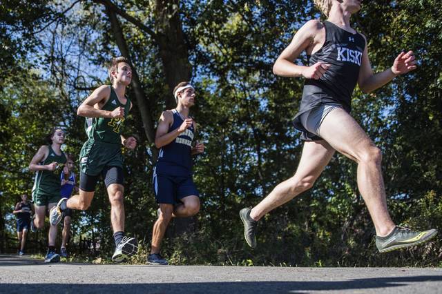 Young Franklin Regional cross country teams each take 6th at WCCA meet
