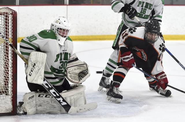 Defending PIHL champion Pine-Richland makes jump in classification