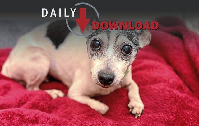 1795220_web1_DailyDownload101119