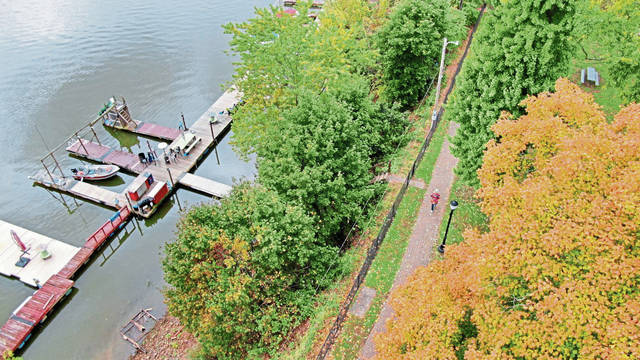 1825620_web1_vnd-Foliage-101919