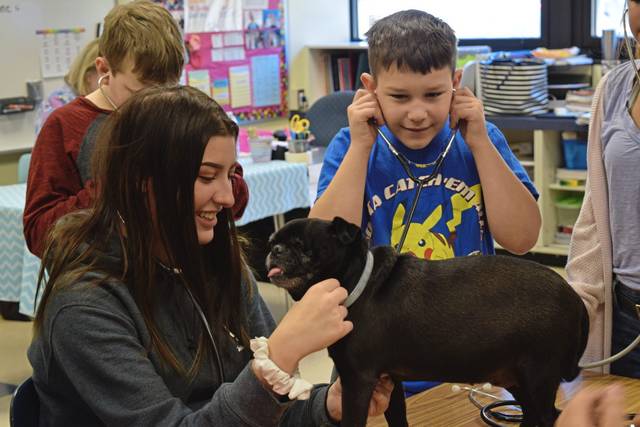 Shaler Area Elementary Career Day conducted by high school, Beattie students