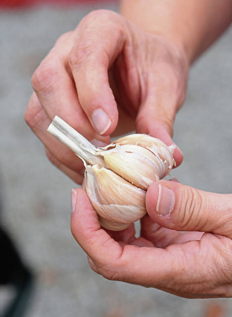 1839752_web1_gtr-liv-garlic2-102519