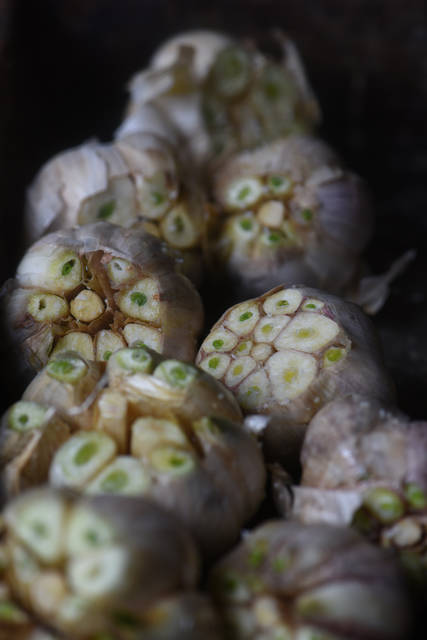 1839752_web1_gtr-liv-garlic6-102519