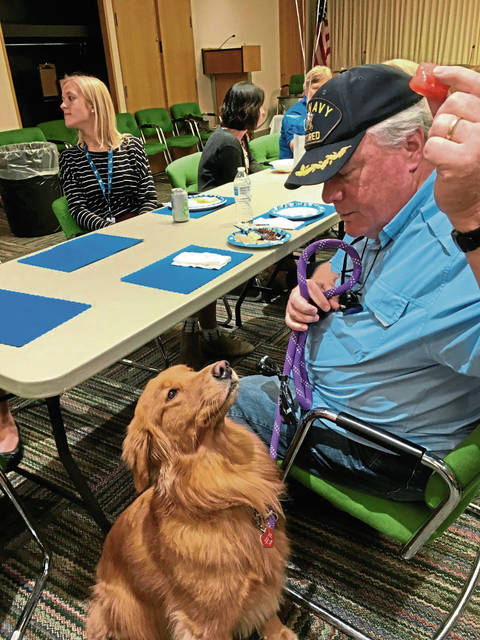 1844692_web1_gtr-dogteam1-102519