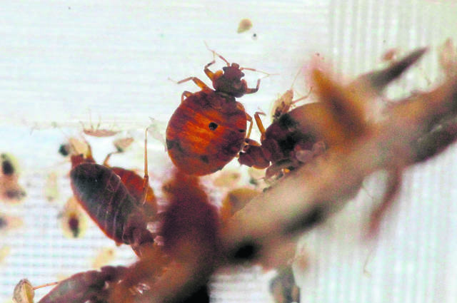 1849805_web1_AP_110201126247