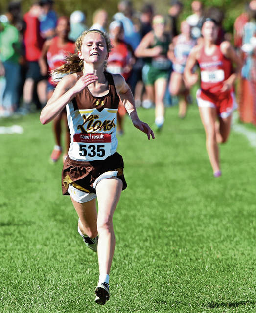 Greensburg Salem sees girls team, 2 boys qualify for states at WPIAL cross country meet