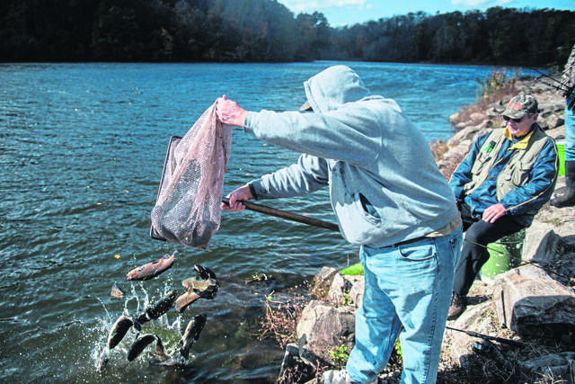 1855292_web1_gtr-lo-fish003-102419