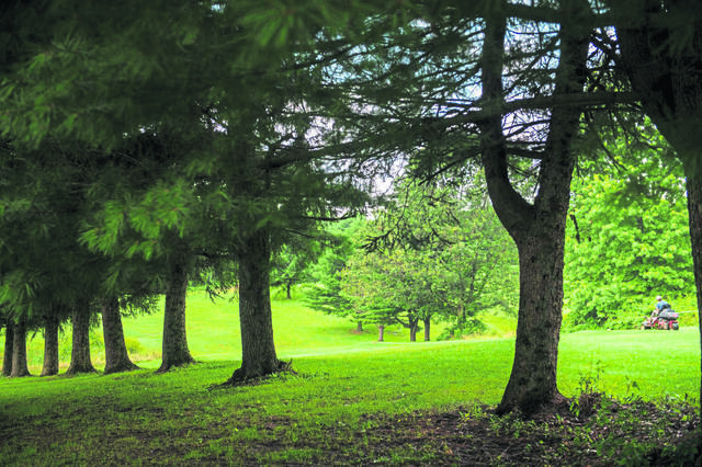 1867200_web1_gtr-lo-MorningGolf001-072419