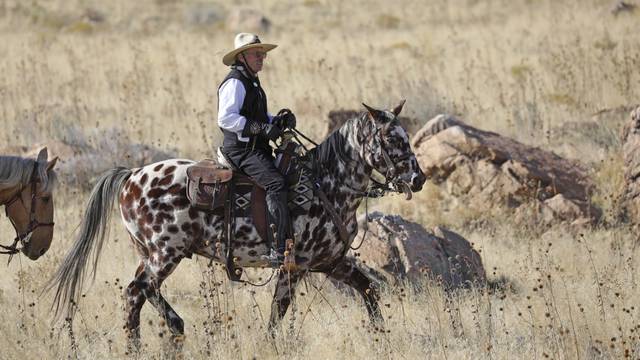1868072_web1_GTR-bison009-103019