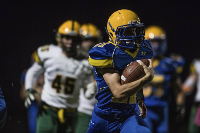 The Birdie won’t stop squawking about  Westmoreland County teams in WPIAL playoffs
