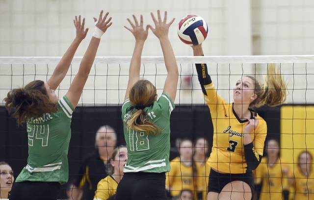 High school roundup for Oct. 30, 2019: Haleigh Finale scores four to lead South Park girls soccer to states