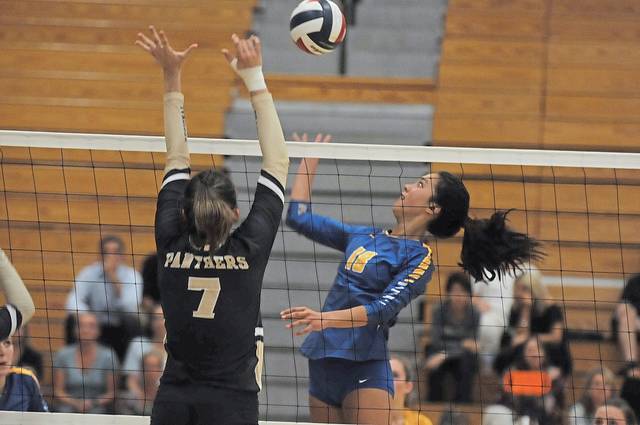 Hampton volleyball program headed in right direction