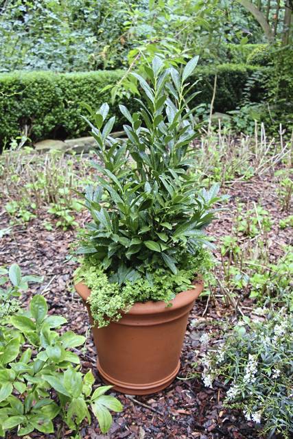 1873935_web1_gtr-liv-garden-01-110419