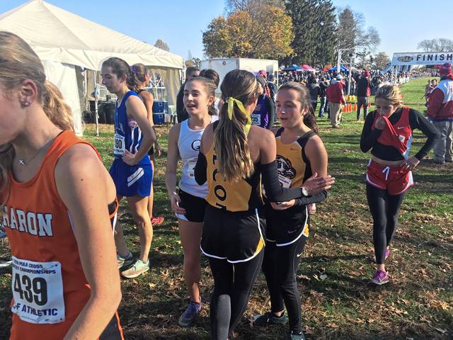 Riverview places 2nd at PIAA Class A cross country meet