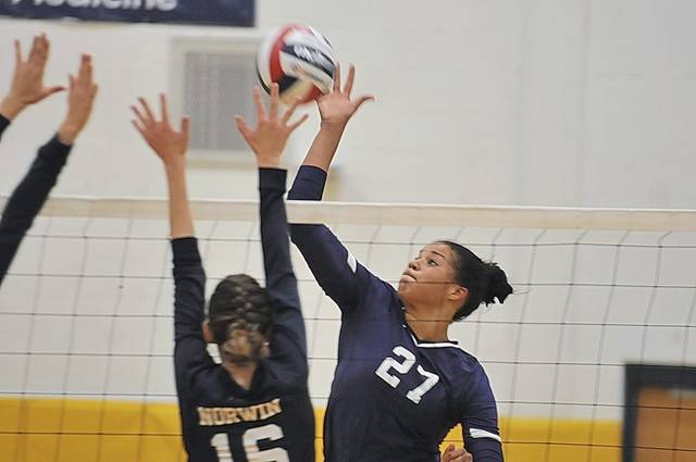 Plum’s Jackson gives verbal commitment to Pitt volleyball