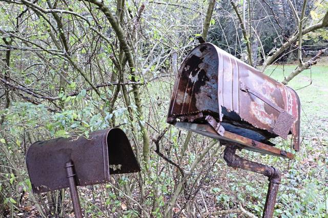 Neighbors petition Pine officials to take action on ‘deplorable’ conditions of property