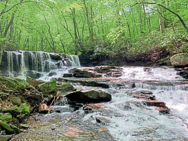 1907893_web1_gtr-ohiopylestaycation12