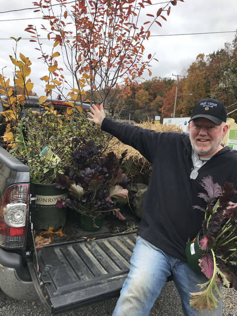 1908794_web1_fall_planted_bargains_12