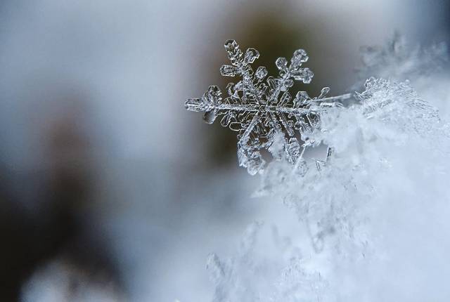 1916740_web1_web-snowflakefrost