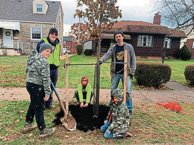 1919750_web1_vnd-tree4-111019