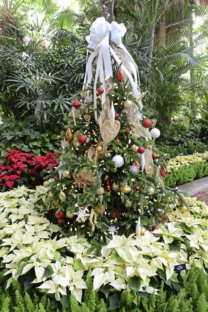 1933548_web1_gtr-tk-planner-phipps-112119