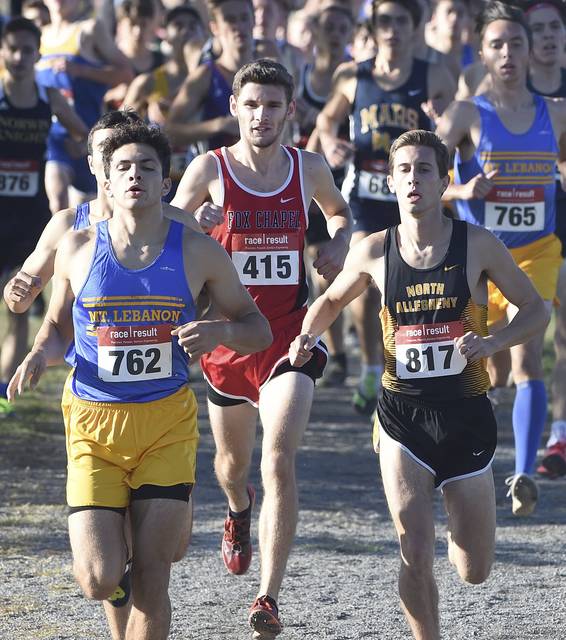 Fox Chapel’s Fitch, Sisson named A-K Valley cross country runners of year