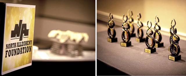 North Allegheny Foundation names recipients of 2020 Distinguished Alumni Award