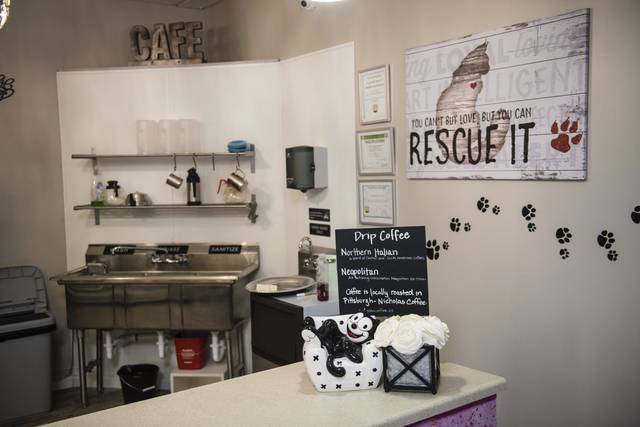1959829_web1_gtr-liv-coffeecats008-111919