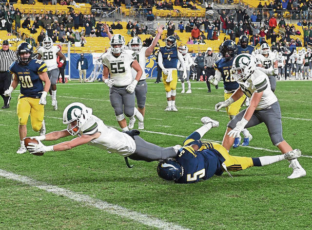 Turnovers in WPIAL final put anticlimactic end to strong season for Pine-Richland