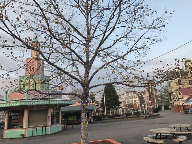 1976289_web1_PTR-KENNYWOODLIGHTS-2