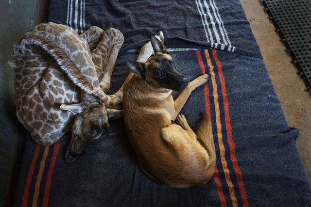 1978193_web1_1978193-ff72fe87cd21493a9c6e403d9708f62e