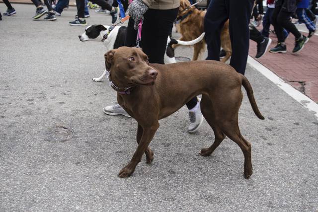 1997212_web1_gtr-trot2019007-112919 1997212_web1_gtr-trot2019007-112919
