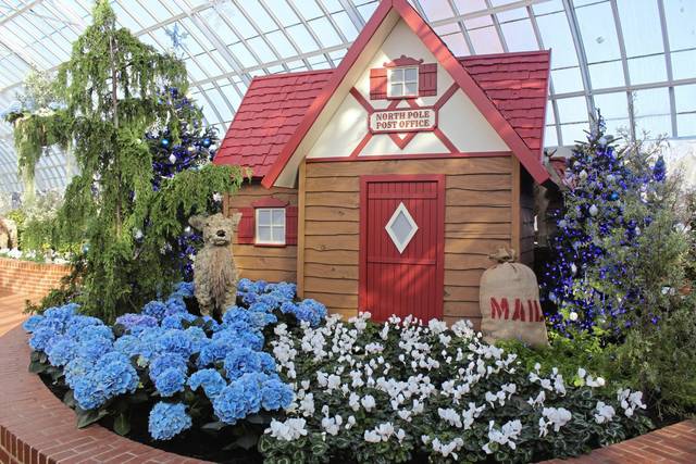 Phipps’ winter flower show, light garden is holiday tradition