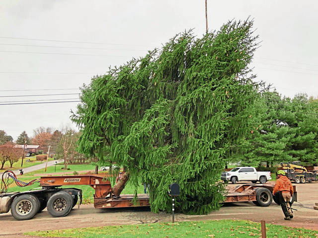 2004144_web1_vnd-harrisonxmas3-113019