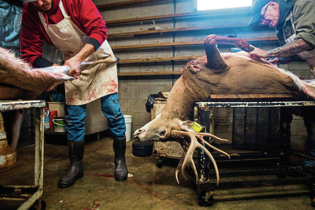 2005194_web1_GTR-DeerSeason-13-120119