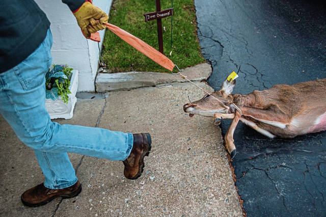 2005194_web1_GTR-DeerSeason-14-120119